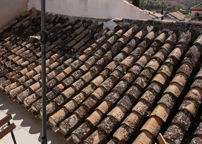 Albahaca Albaycin Granada